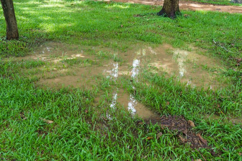 Backyard Water Runoff Control