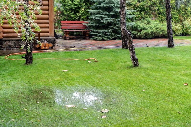 Backyard Water Runoff Control