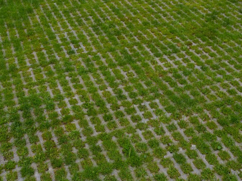 Permeable Pavement