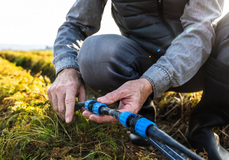 Dry Season Maintenance