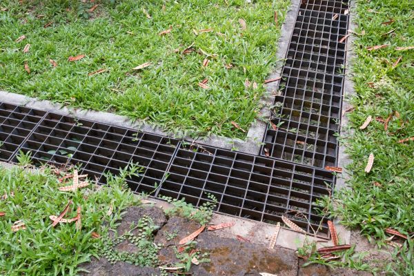 Backyard Water Runoff Control
